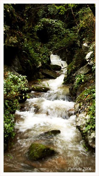 Image Hosted by ImageShack.us